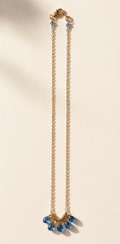 Midnight Briolette Necklace