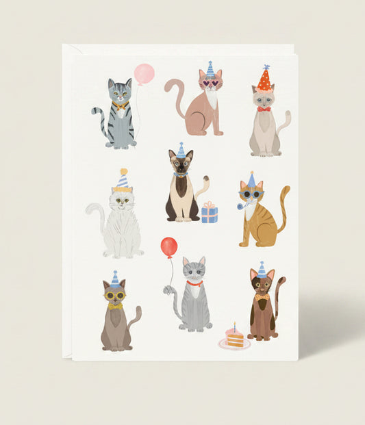 Illustrations of cats in various poses with accessories on a white background
